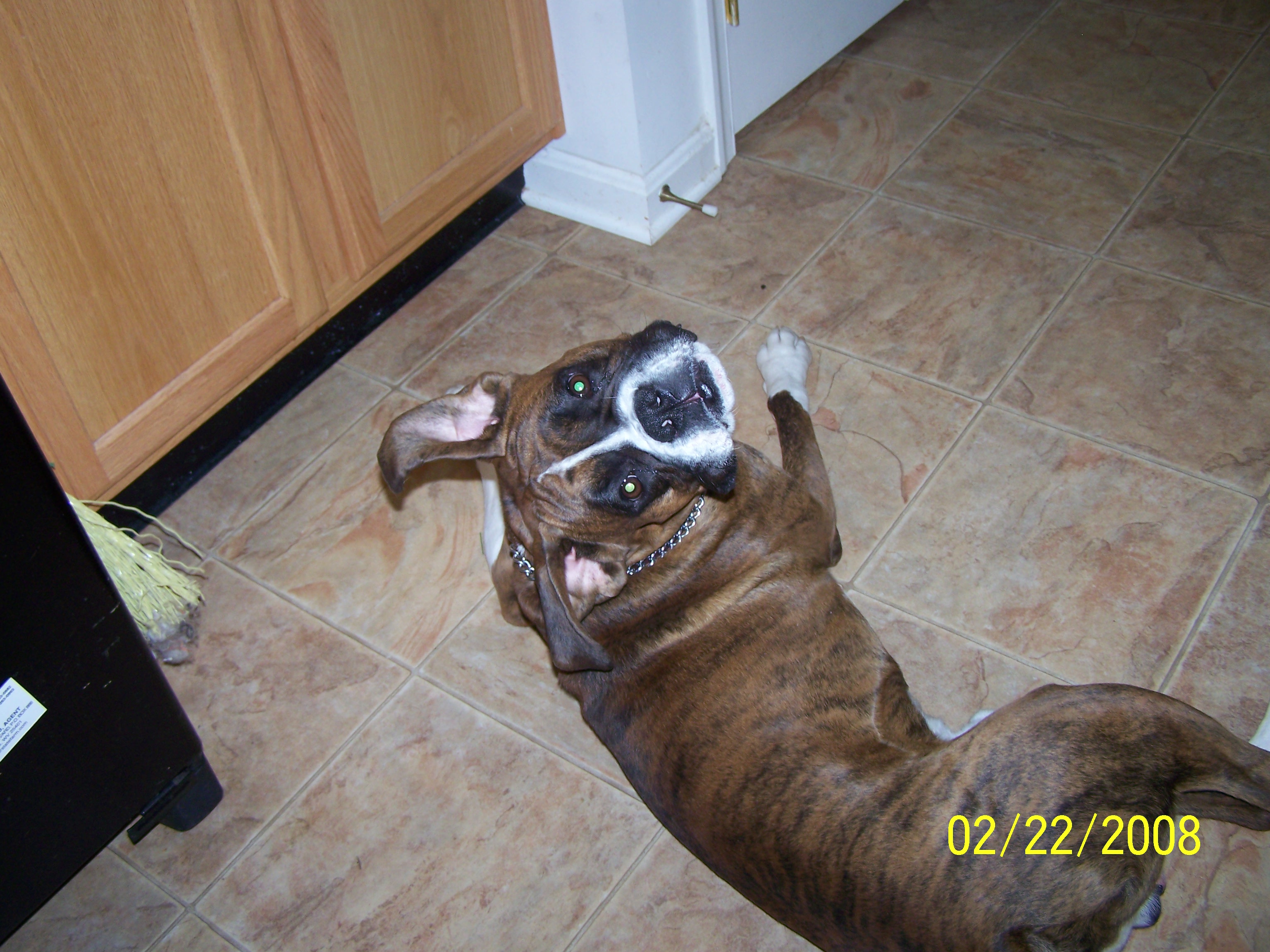 100_0561.jpg